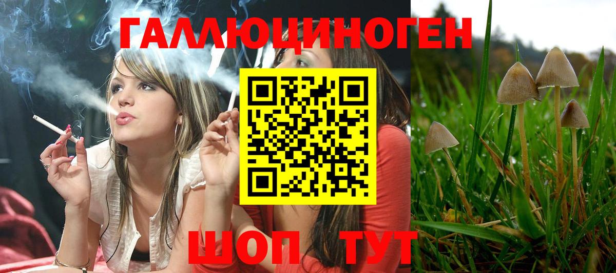 Нальчик  Псилоцибиновые грибы Magic Shrooms  Вход с VPN 